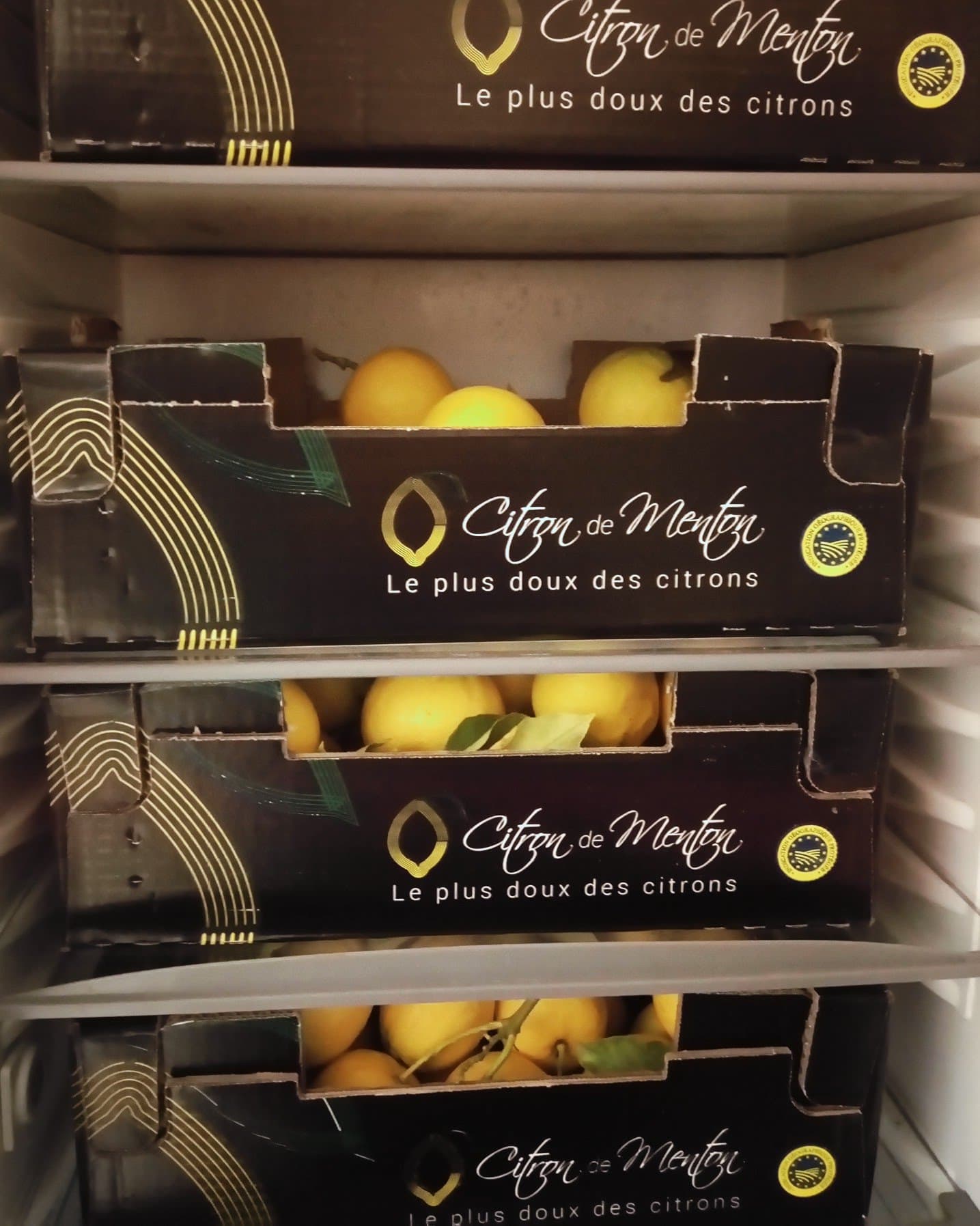 Citron de Menton IGP, produit emblématique du territoire mentonnais